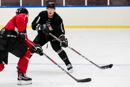 Malmö Redhawks Fredrik Händemark