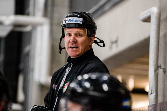 Malmö Redhawks assisterande tränare Jesper Mattsson