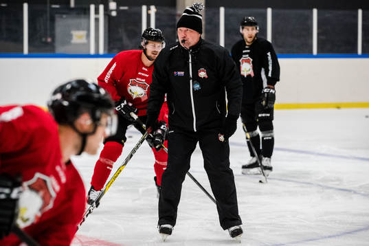 Malmö Redhawks tränare Peter Andersson