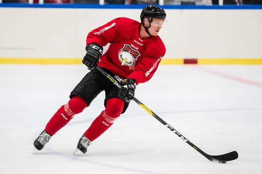 Malmö Redhawks Tobias Ekberg