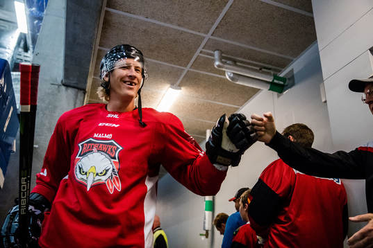 Malmö Redhawks Emil Sylvegård
