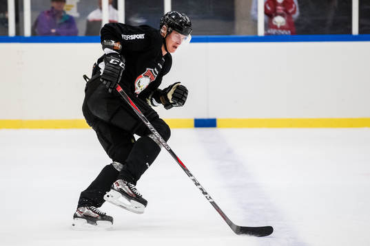 Malmö Redhawks Fredrik Händemark