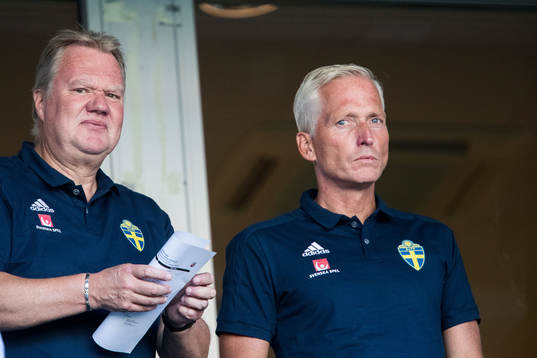 Chariman of the Swedish soccer