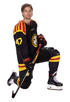 Brynäs Eric Norin