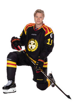 Brynäs Ludvig Nilsson