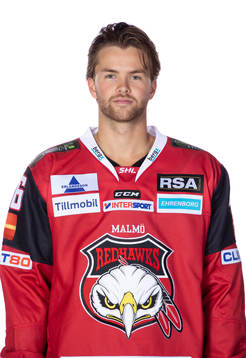 Malmö Redhawks Anton Öhman