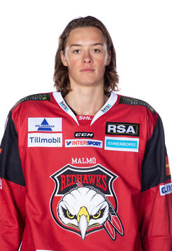 Malmö Redhawks Malte Setkov