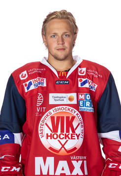 s Mikael Hedlund