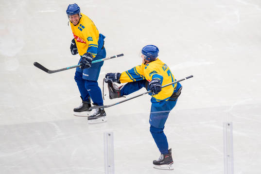 Anders Jacobson and Jonas Björkman of Sweden celebrate a