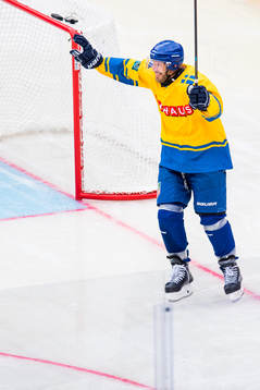 Mikael Dorsin of Sweden celebrate a goal