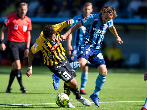 Häckens Daleho Irandust
