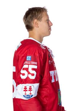 Timrås Vilmos Galló