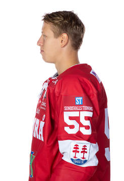 Timrås Vilmos Galló