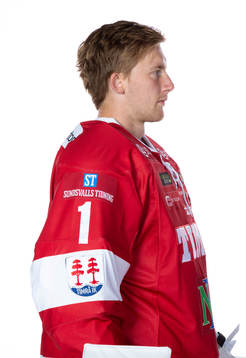 Timrås Victor Brattström