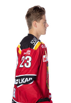 Luleås Jesper Sellgren