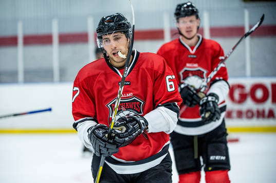 Malmö Redhawks Konstantin Komarek