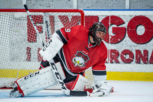 Malmö Redhawks målvakt Oscar Alsenfelt