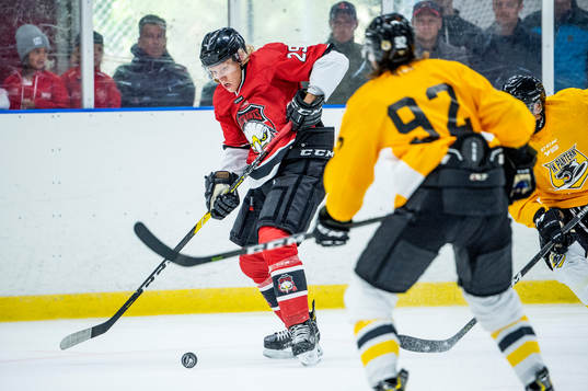 Malmö Redhawks Marcus Sylvegårdmot Panterns Dennis