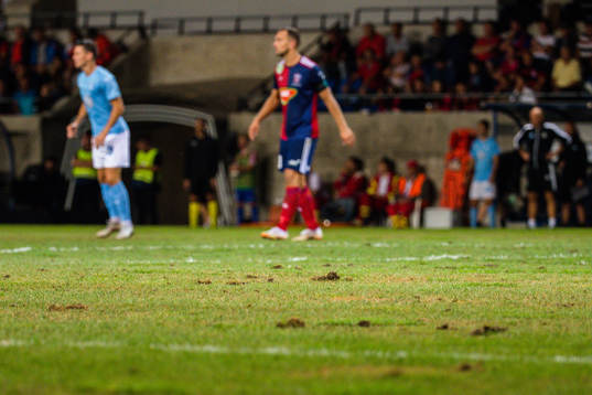 Detail shot of the pitch