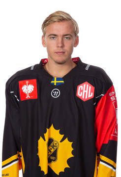 Skellefteås Andreas Wingerli