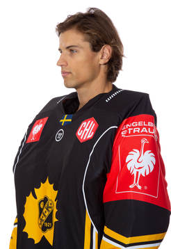 Skellefteås Mantas Armalis