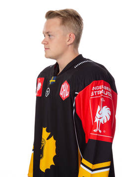 Skellefteås Felix Dahlroth