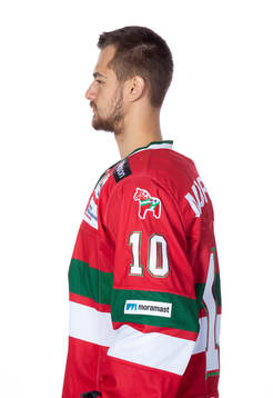 Moras Matej Galbavy