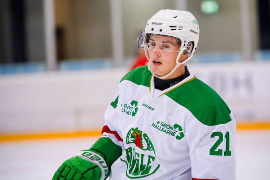 Rögles Nils Höglander