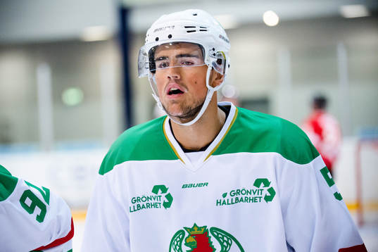 Rögles Alen Bibic