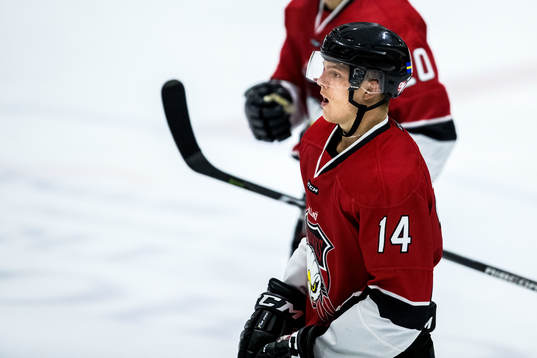 Malmö Redhawks Carl-Johan Lerby deppar