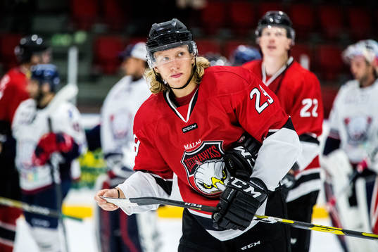 Bläddra bland fler bilder av Ishockey, Träningsmatch, Malmö Redhawks - Linköping, 2-4