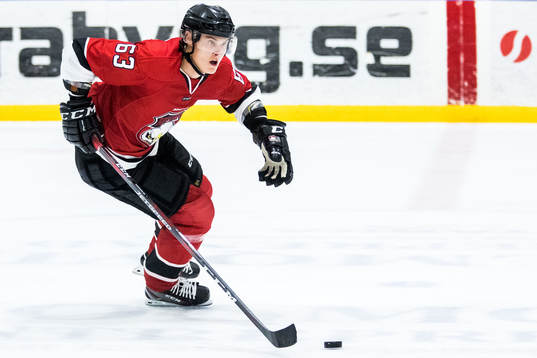 Malmö Redhawks Fredrik Händemark