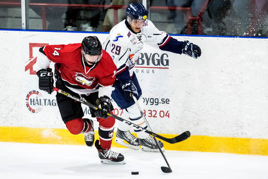 Malmö Redhawks Carl-Johan Lerby och Linköpings Nikola