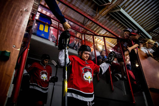 Malmö Redhawks Tobias Ekberg