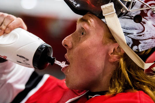 Malmö Redhawks målvakt Linus Gidbark