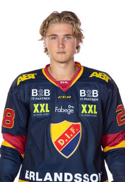Djurgårdens William Wiå