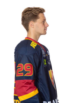 Djurgårdens Sebastian Stranberg