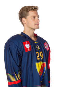 Djurgårdens Sebastian Strandberg