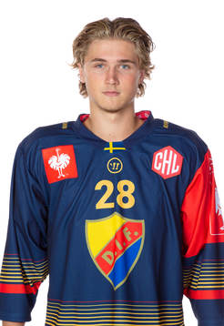 Djurgårdens William Wiå
