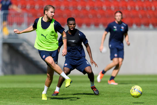 Darijan Bojanic