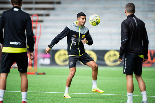 Rami Kaib
