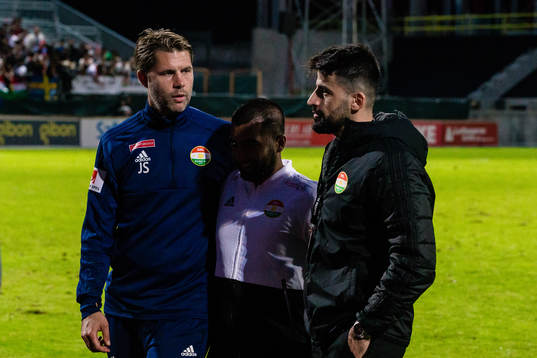 Dalkurds tränare Johan Sandahl med assisterande tränare