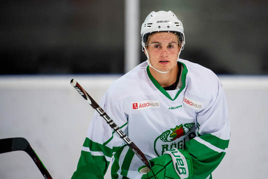 Nils Höglander