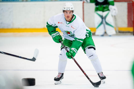 Nils Höglander