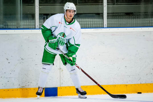 Nils Höglander