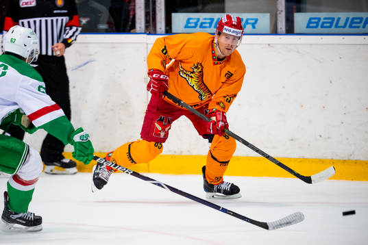 Langnaus Mikael Johansson