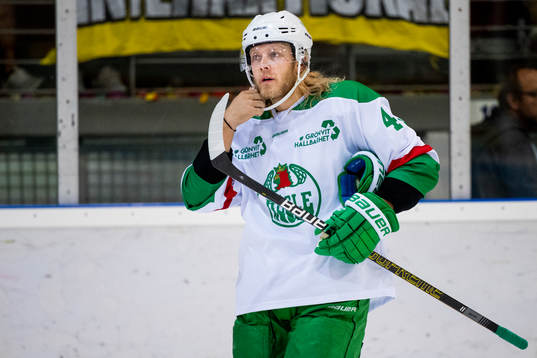 Rögles Olle Liss