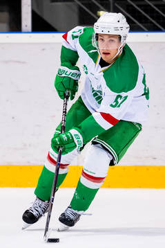 Rögles Leon Bristedt