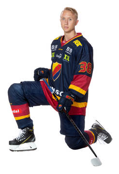 Djurgårdens Olle Alsing