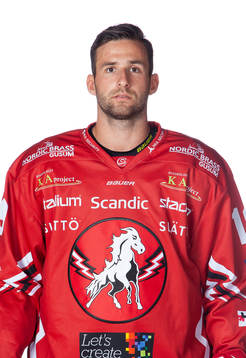 Bläddra bland fler bilder av Ishockey, Hockeyallsvenskan, Portrtätt, Vita Hästen